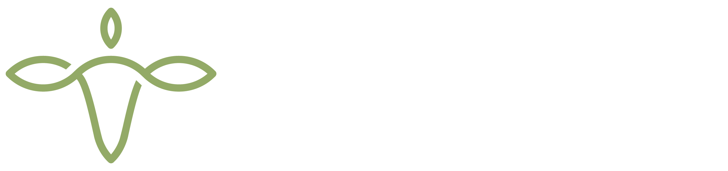 Beatriz Althoff